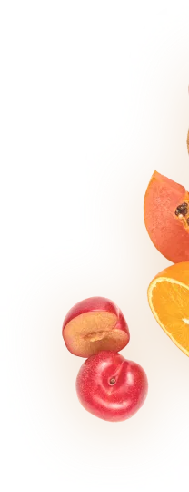 Fruits